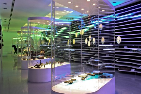 Museu de História Natural de Sintra