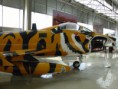 /album/galeria-de-fotos/tiger-meet-fiat-museu-do-ar-sintra-4418614078-jpg/